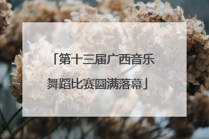 第十三届广西音乐舞蹈比赛圆满落幕