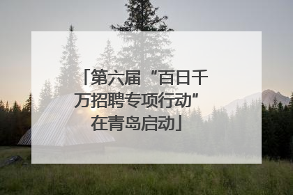 第六届“百日千万招聘专项行动”在青岛启动