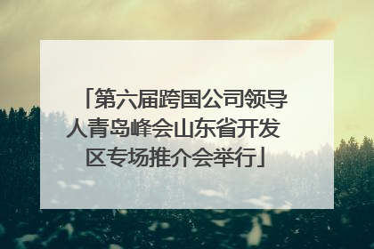 第六届跨国公司领导人青岛峰会山东省开发区专场推介会举行