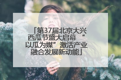 第37届北京大兴西瓜节盛大启幕 “以瓜为媒”激活产业融合发展新动能
