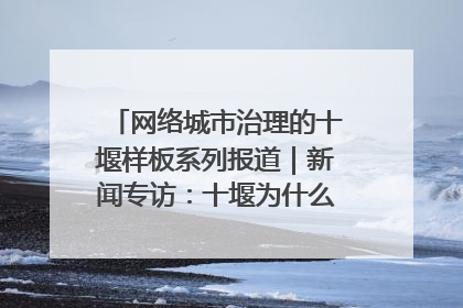 网络城市治理的十堰样板系列报道｜新闻专访：十堰为什么成为“黑马型”城市治理网络维度典型