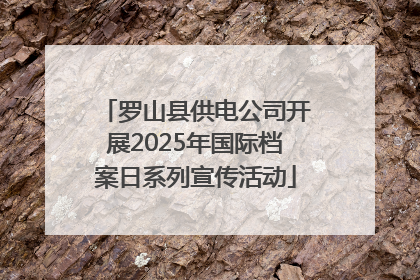 罗山县供电公司开展2025年国际档案日系列宣传活动