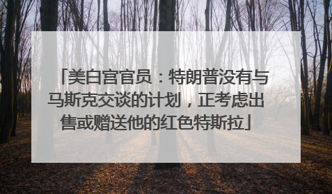 美白宫官员：特朗普没有与马斯克交谈的计划，正考虑出售或赠送他的红色特斯拉