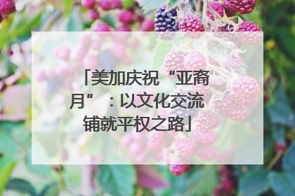 美加庆祝“亚裔月”：以文化交流铺就平权之路