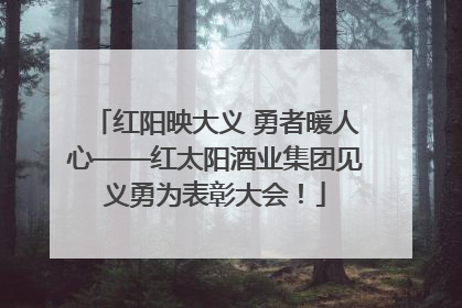 红阳映大义 勇者暖人心——红太阳酒业集团见义勇为表彰大会！