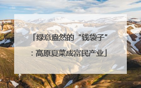 绿意盎然的“钱袋子”：高原夏菜成富民产业