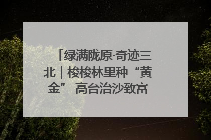 绿满陇原·奇迹三北｜梭梭林里种“黄金” 高台治沙致富很“从容”