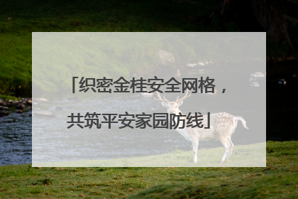 织密金桂安全网格，共筑平安家园防线