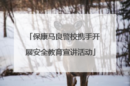 保康马良警校携手开展安全教育宣讲活动