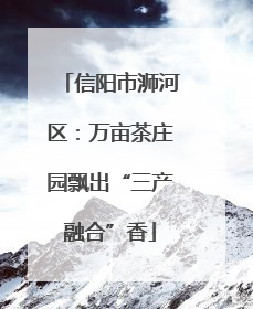 信阳市浉河区：万亩茶庄园飘出“三产融合”香