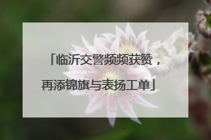 临沂交警频频获赞，再添锦旗与表扬工单