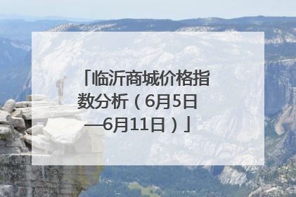 临沂商城价格指数分析（6月5日—6月11日）