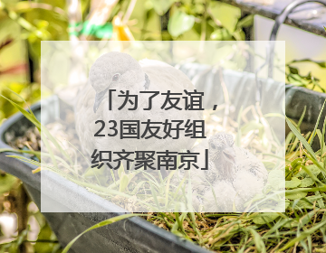 为了友谊，23国友好组织齐聚南京