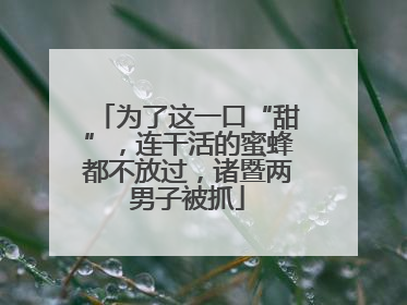 为了这一口“甜”，连干活的蜜蜂都不放过，诸暨两男子被抓