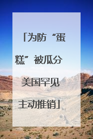 为防“蛋糕”被瓜分 美国罕见主动推销