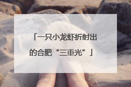 一只小龙虾折射出的合肥“三重光”