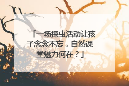 一场探虫活动让孩子念念不忘，自然课堂魅力何在？