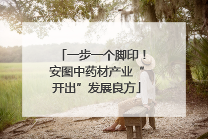 一步一个脚印！安图中药材产业“开出”发展良方