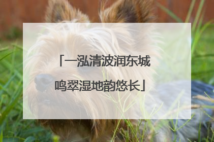 一泓清波润东城 鸣翠湿地韵悠长