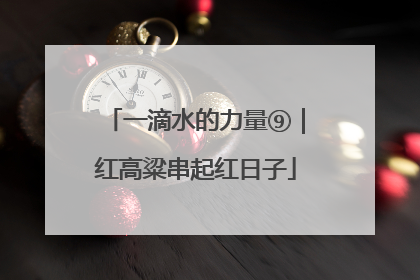 一滴水的力量⑨｜红高粱串起红日子