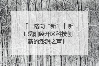 一路向“新”丨听！岳阳经开区科技创新的澎湃之声
