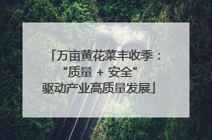 万亩黄花菜丰收季：“质量 + 安全” 驱动产业高质量发展