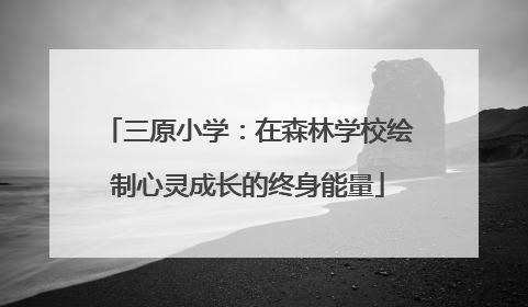 三原小学：在森林学校绘制心灵成长的终身能量