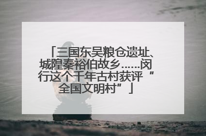 三国东吴粮仓遗址、城隍秦裕伯故乡……闵行这个千年古村获评“全国文明村”