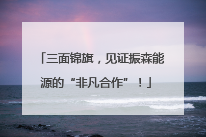 三面锦旗，见证振森能源的“非凡合作”！