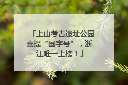 上山考古遗址公园喜提“国字号”，浙江唯一上榜！
