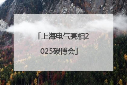 上海电气亮相2025碳博会