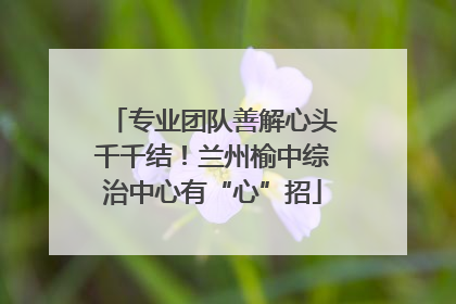 专业团队善解心头千千结！兰州榆中综治中心有“心”招