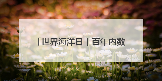 世界海洋日丨百年内数量锐减至不足1% 非洲企鹅为何迅速消失？