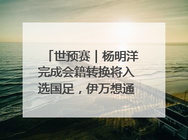 世预赛｜杨明洋完成会籍转换将入选国足，伊万想通了要打双后腰？