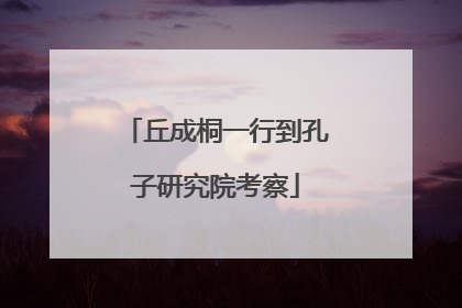 丘成桐一行到孔子研究院考察
