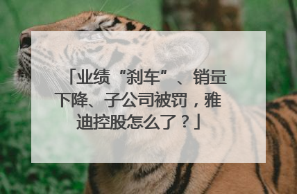 业绩“刹车”、销量下降、子公司被罚，雅迪控股怎么了？