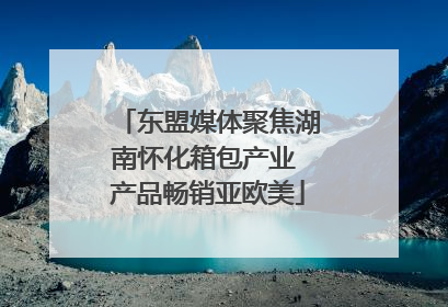 东盟媒体聚焦湖南怀化箱包产业 产品畅销亚欧美