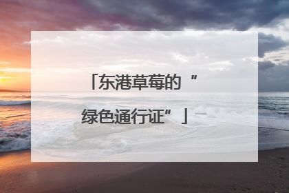 东港草莓的“绿色通行证”