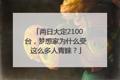 两日大定2100台，梦想家为什么受这么多人青睐？