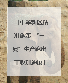 中牟新区精准施策 “三夏”生产跑出丰收加速度