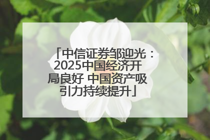 中信证券邹迎光：2025中国经济开局良好 中国资产吸引力持续提升