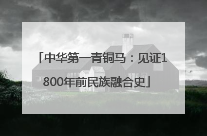 中华第一青铜马：见证1800年前民族融合史