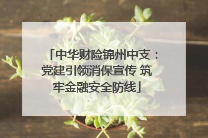 中华财险锦州中支：党建引领消保宣传 筑牢金融安全防线