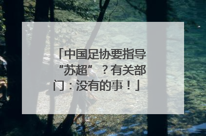 中国足协要指导“苏超”？有关部门：没有的事！