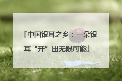 中国银耳之乡：一朵银耳“开”出无限可能