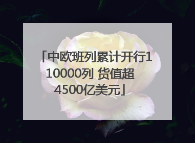 中欧班列累计开行110000列 货值超4500亿美元
