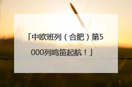 中欧班列（合肥）第5000列鸣笛起航！