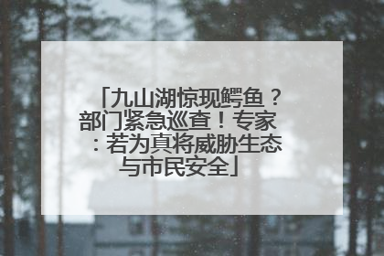九山湖惊现鳄鱼？部门紧急巡查！专家：若为真将威胁生态与市民安全