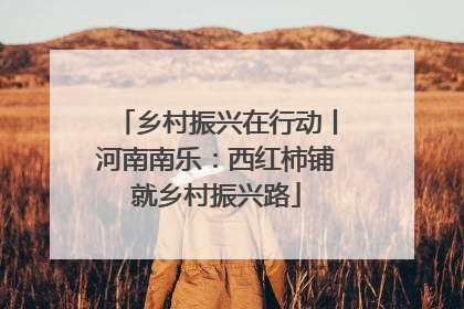 乡村振兴在行动丨河南南乐：西红柿铺就乡村振兴路
