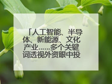 人工智能、半导体、新能源、文化产业……多个关键词透视外资眼中投资中国的新机遇